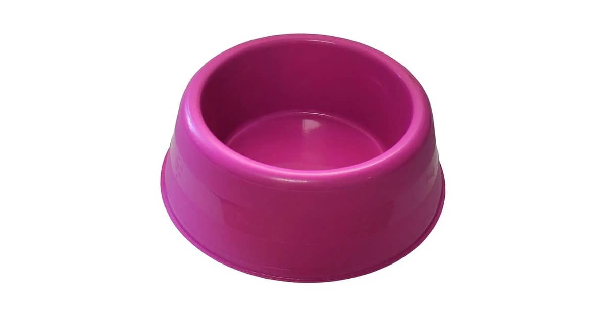 Melhor Comedouro para Pug: Ergonômico e Seguro