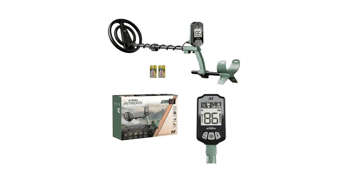 Melhor detector de Metais Profissional: Guia de Compra Essencial