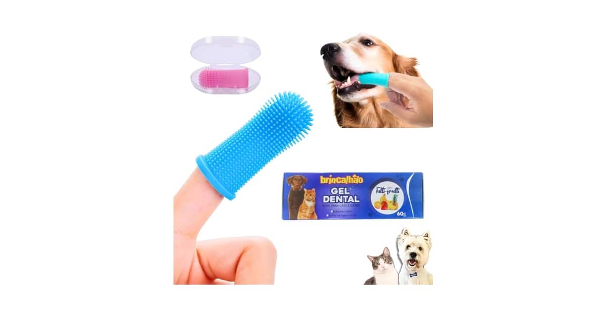 Melhor escova de dente para cachorro: 10 tipos