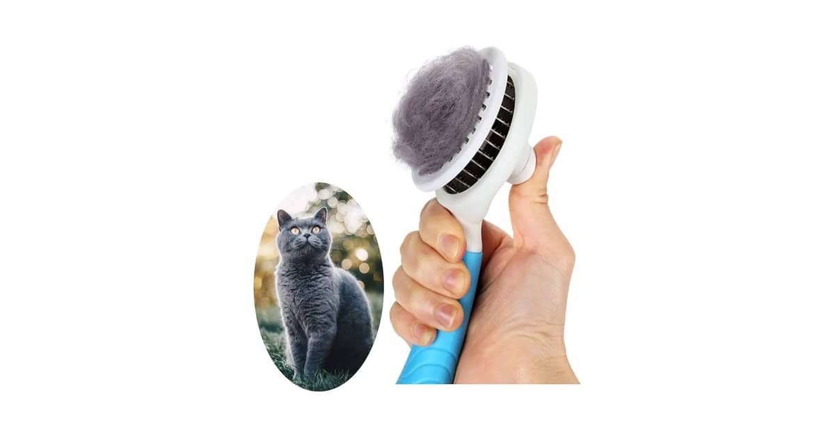Melhor Escova Para Gatos: a Vapor ou Autolimpante?