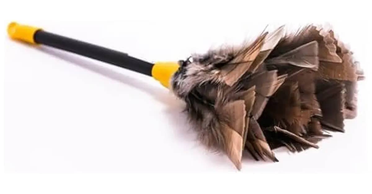 Melhor Espanador para Livros: Penas Naturais ou Microfibra?