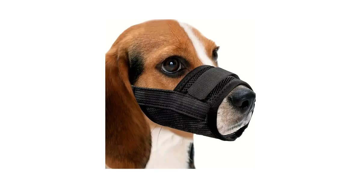 Melhor Focinheira para Cachorro: Análise de 9 Tipos