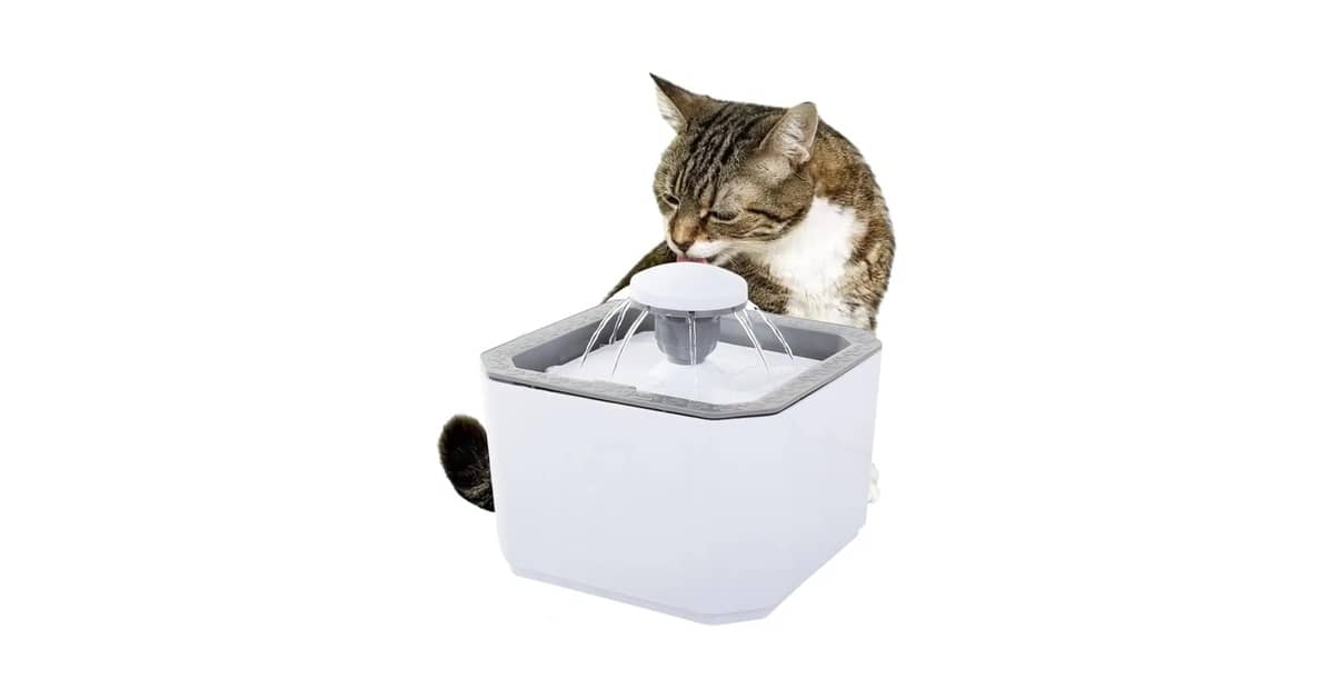 Melhor Fonte de Água Automática para Gato: 10 Modelos Silenciosos