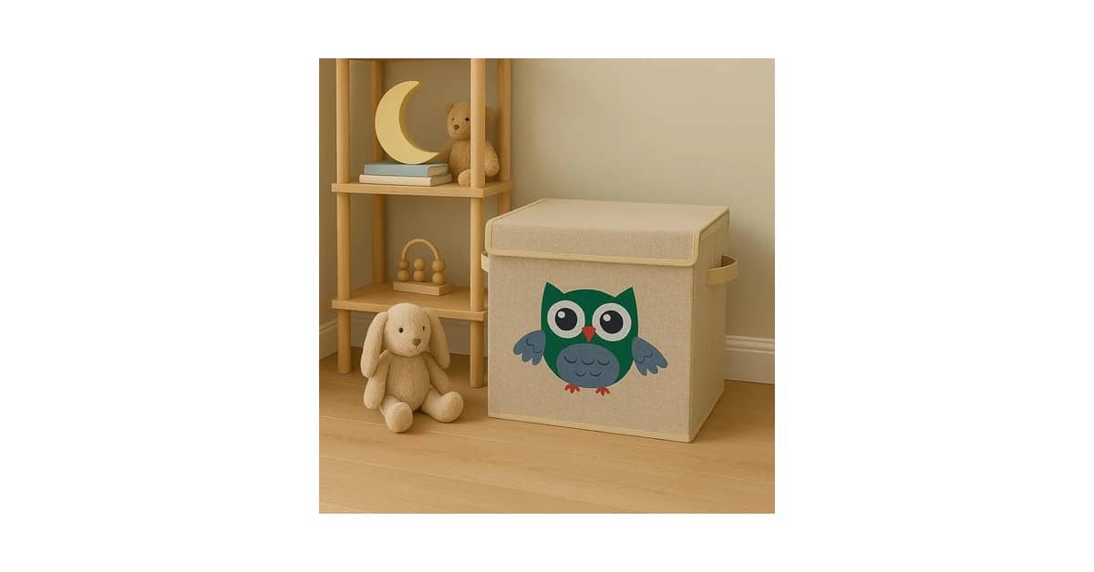 Melhor Forma de Organizar Brinquedos: Caixas e Cestos Práticos