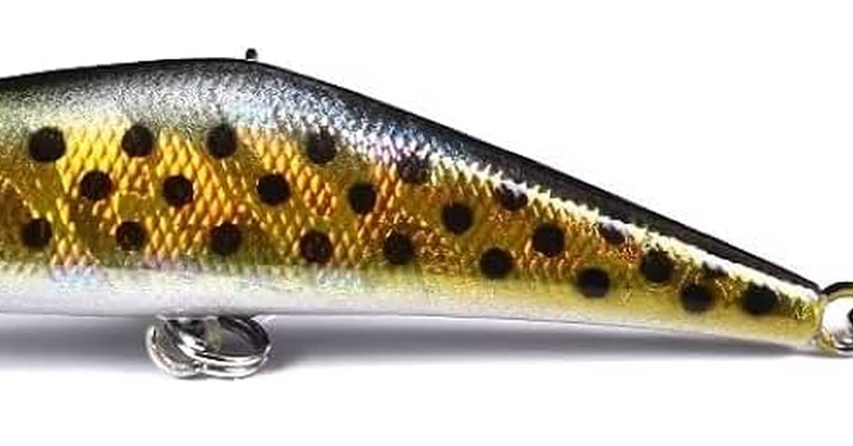 Melhor Isca Artificial para Pescar no Mar: Guia Completo