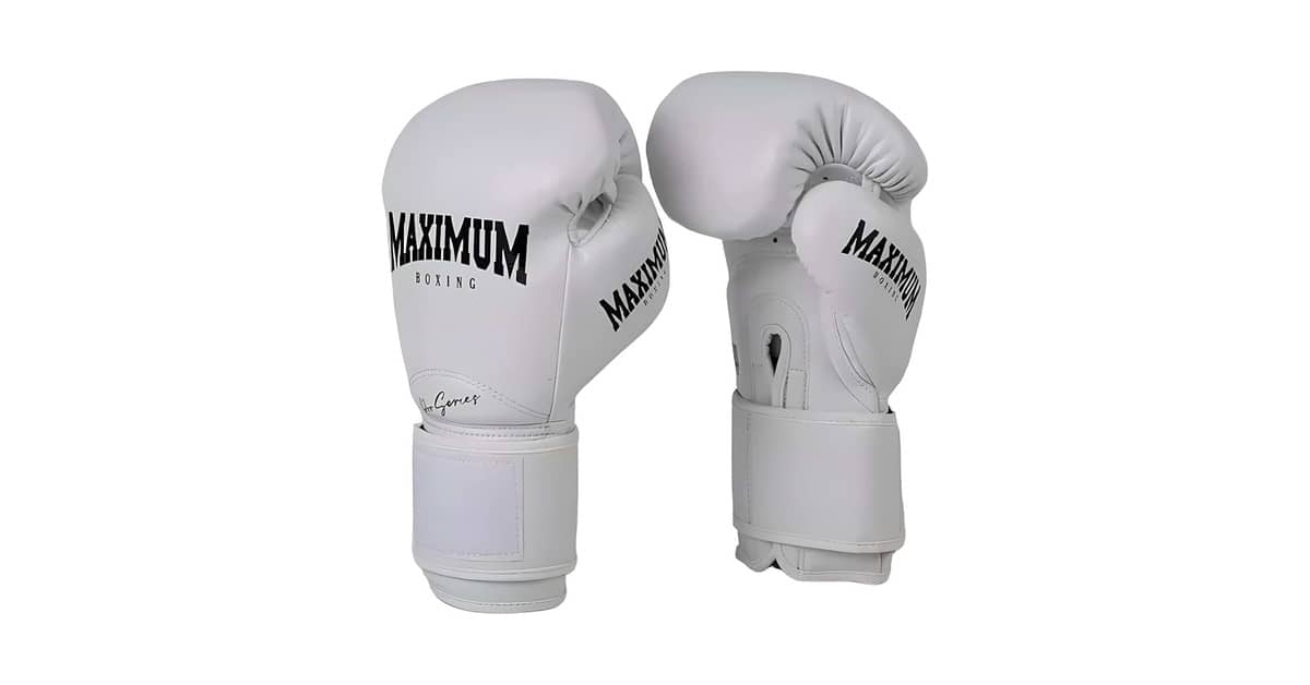 Melhor Luva de Muay Thai Profissional: Proteção e Performance