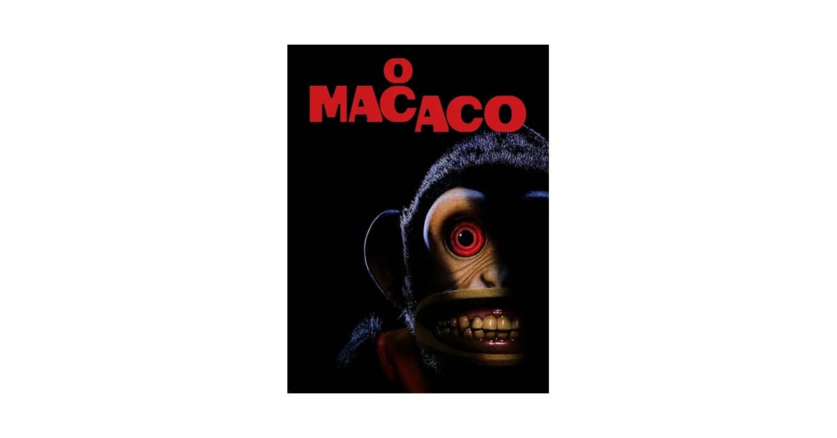 Melhor Macaco: Qual o Tipo Ideal para sua Necessidade?
