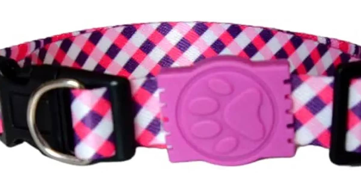 Melhor Marca de Coleira para Cachorro: Guia Definitivo