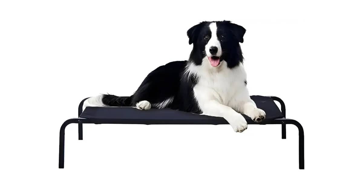 Melhor Material para Cama de Cachorro: Conforto e Durabilidade