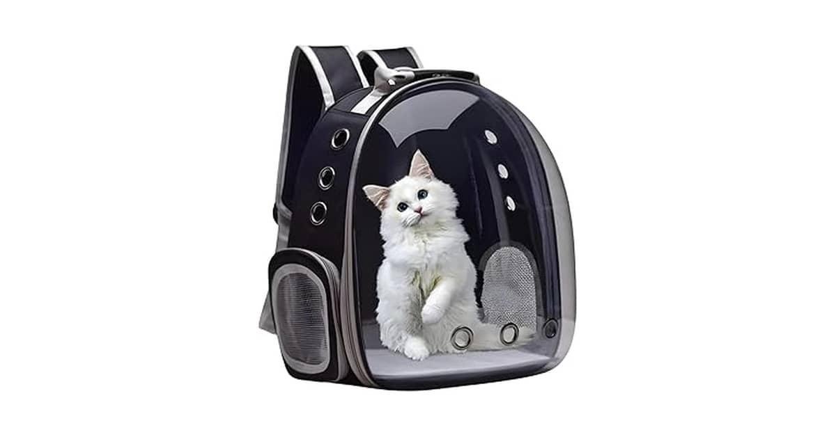 Melhor mochila transparente para gato: qual comprar?