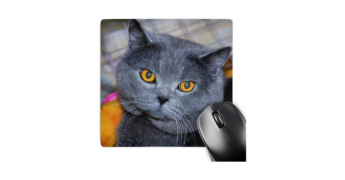 Melhor Mousse para Cabelo Curto: Guia Essencial