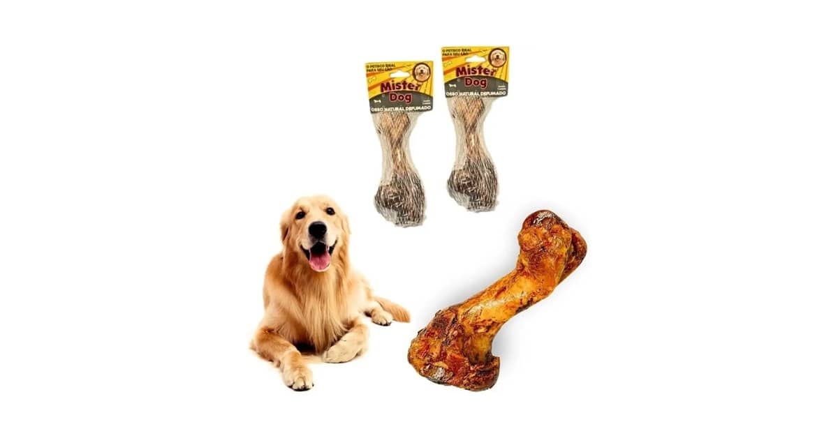 Melhor Osso Para Cachorro Roer: Natural ou Nylon?
