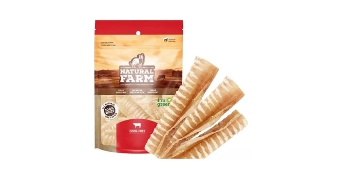 Melhor Osso para Limpar dente de Cachorro: Guia Essencial