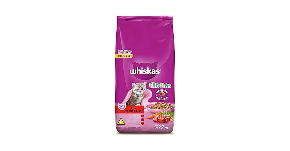 Melhor ração para gatos filhotes: Guia de nutrientes