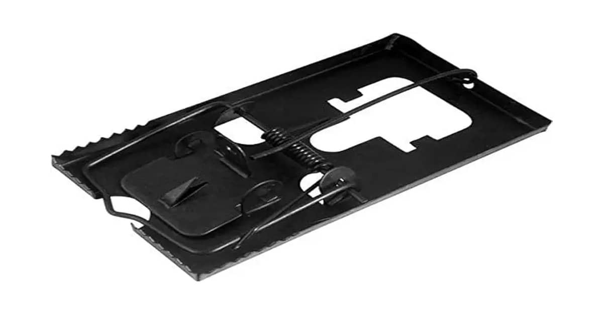 Melhor Ratoeira do Mundo: Opções Humanas e Eficazes