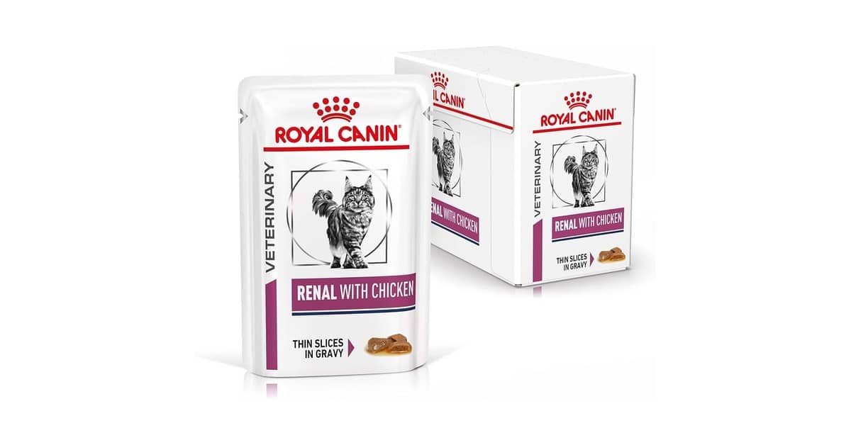 Melhor Sachê para Gato Renal: Guia Completo para Escolha