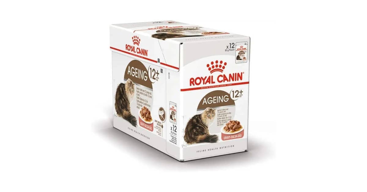 Melhor Sachê para Gatos Idosos: Nutrição e Sabor para Longevidade