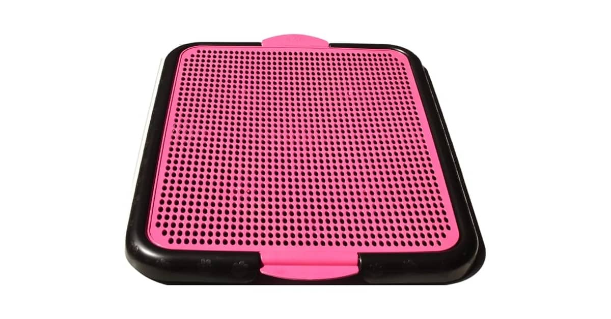 Melhor sanitário para cachorro: Lavável ou tapete?