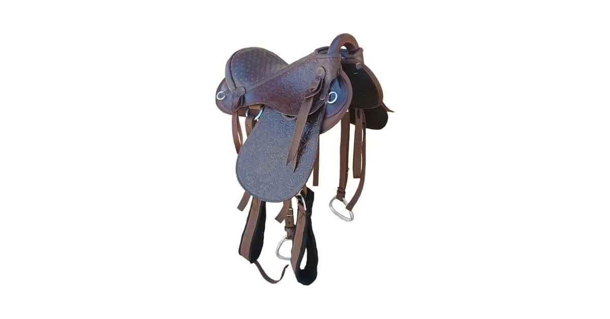 Melhor Sela para Cavalgada: Guia Completo de Compra