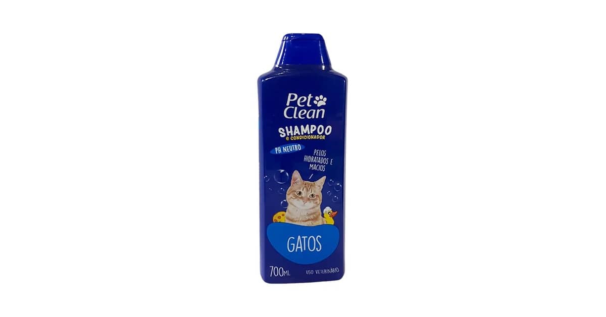 Melhor shampoo para gato: De filhotes a antipulgas