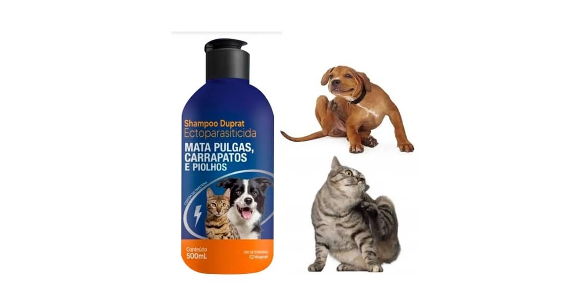 Melhor Shampoo para Tirar Piolho: Guia Definitivo
