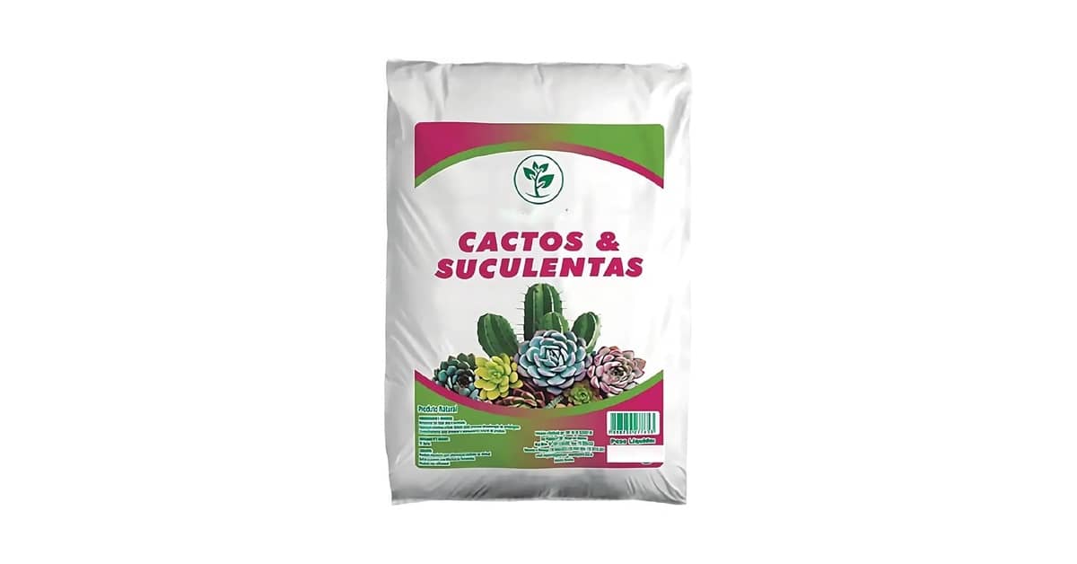 Melhor Solo para Suculentas: Guia Essencial!