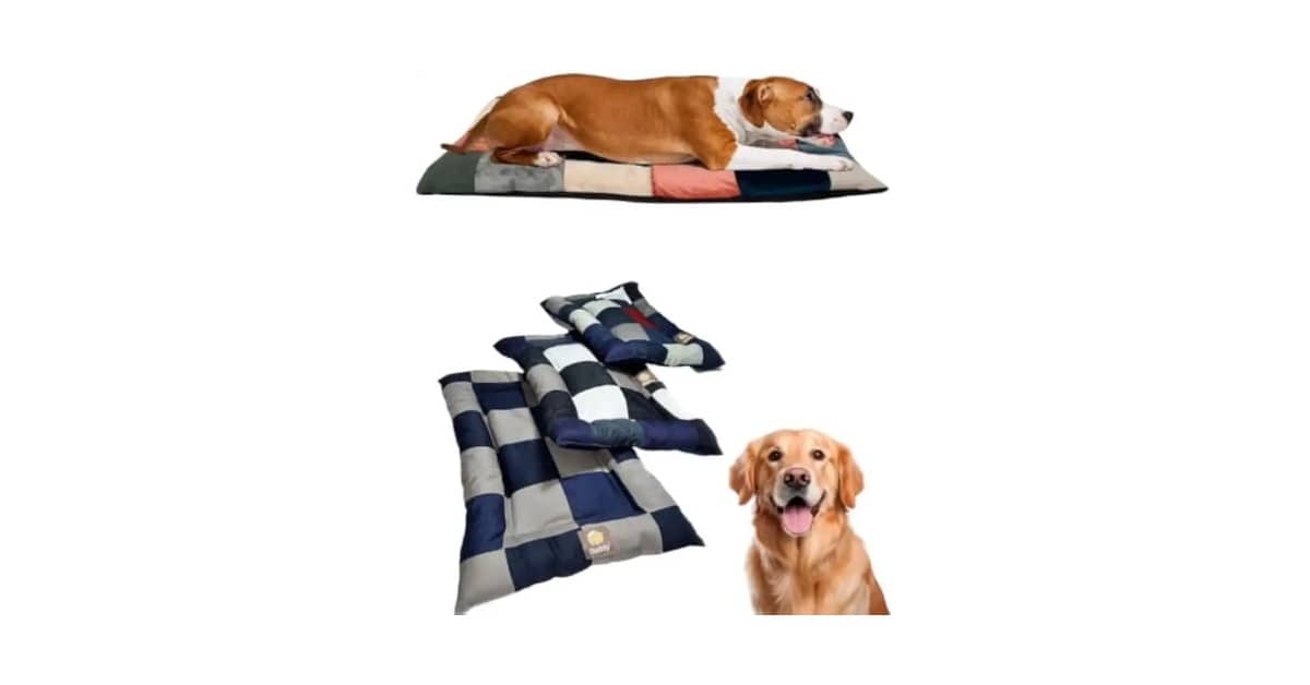 Melhor Tecido para Cama de Gato: Conforto e Durabilidade