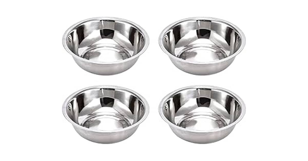 Melhor Vasilha para Gato: Guia do Inox ao Elevado
