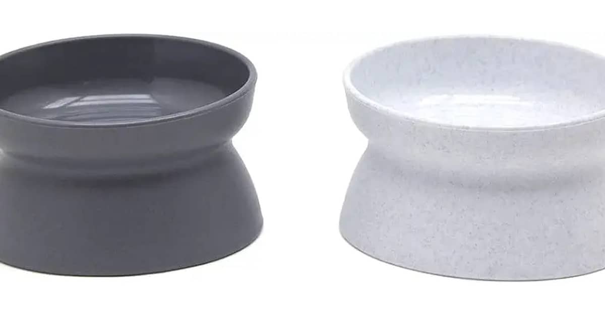 Melhor Vasilha para Gatos: Guia Essencial para Conforto