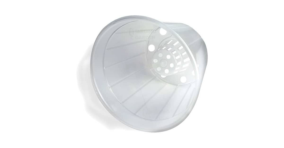 Melhor Vaso para Orquidea Cattleya: Guia Completo