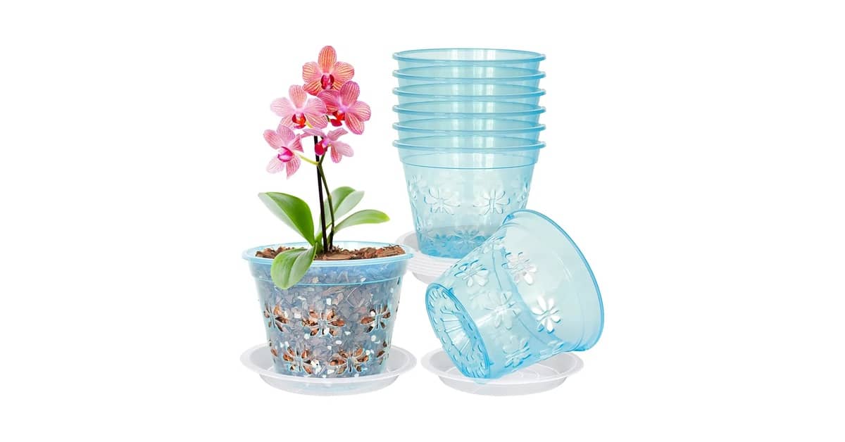 Melhor Vaso para Orquídea Oncidium: Guia Essencial
