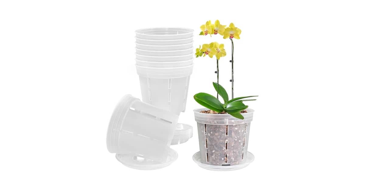 Melhor Vaso para Orquídea Phalaenopsis: Transparência e Ventilação