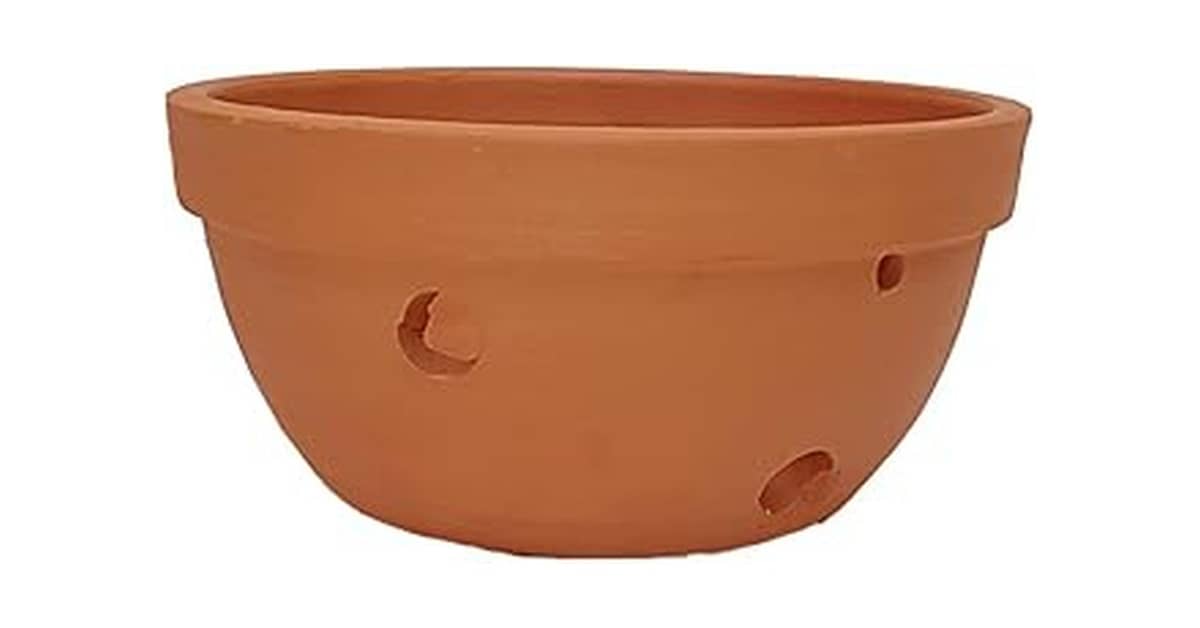 Melhor Vaso Para Orquidea: Guia de Drenagem e Raiz