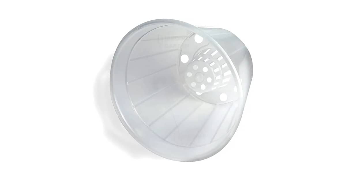 Melhor Vaso para Plantar Orquídea: Guia Completo