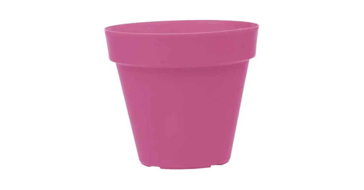 Melhor Vaso para Plantar Rosa do Deserto: Guia Essencial!