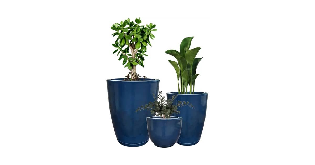 Melhor Vaso para Plantas: Durabilidade e Estilo
