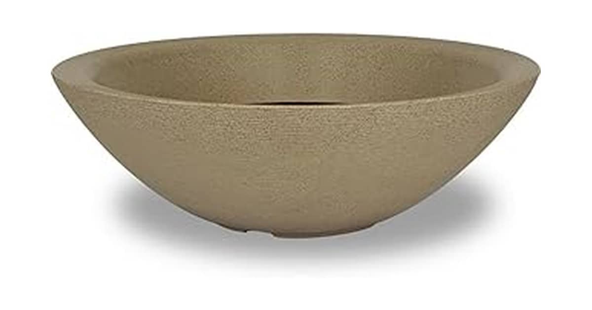 Melhor Vaso para Rosa do Deserto: Guia de formatos