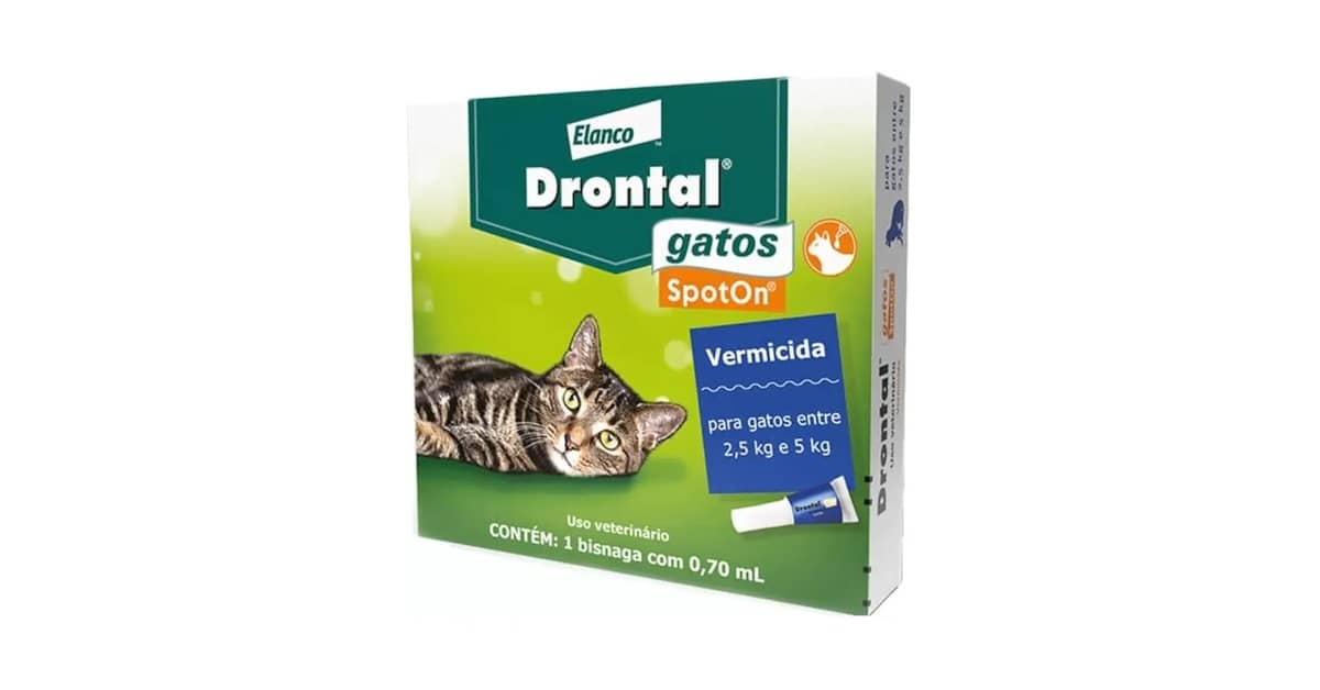 Melhor vermífugo para gato: Comprimido ou spot-on?