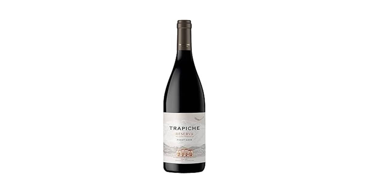 Melhor Vinho Pinot Noir: Guia de Sabores do Mundo