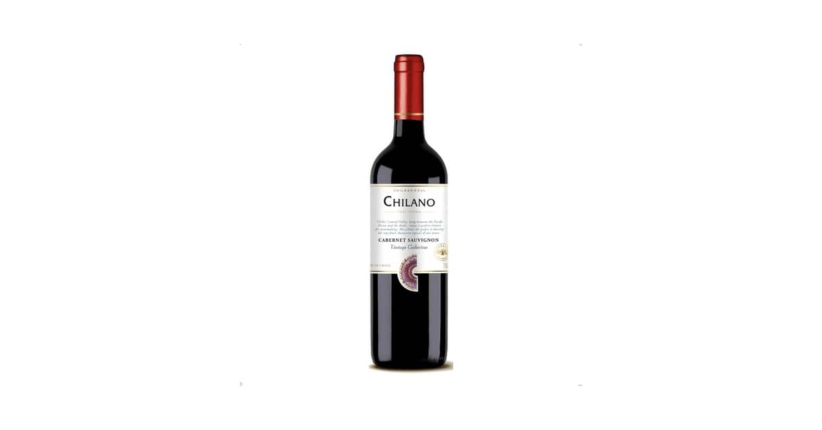 Melhor Vinho Tinto Chileno: Guia Completo para Sua Escolha