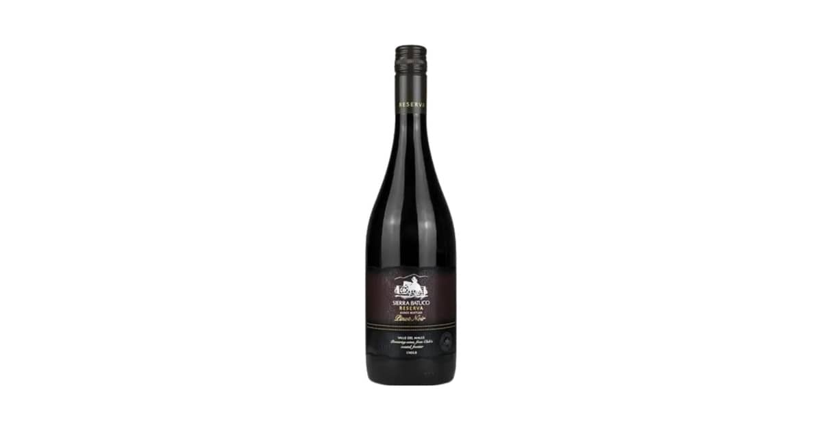 Melhor Vinho Tinto Pinot Noir: Análise e Escolha Certa