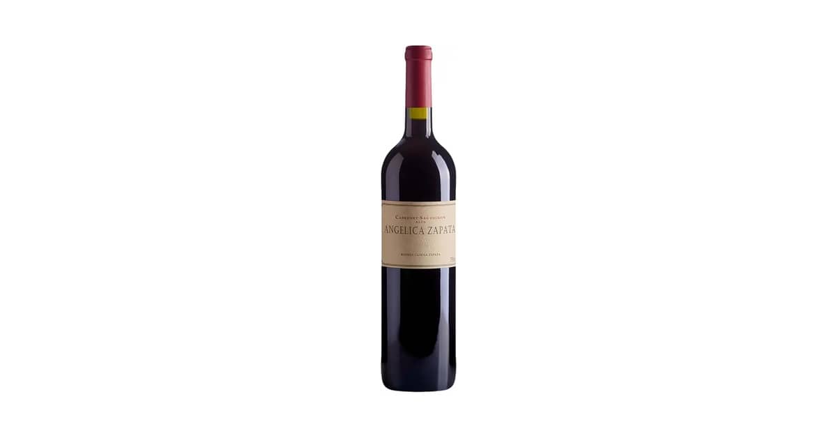 Melhor Vinho Tinto Seco Argentino: Guia Definitivo e Sabores