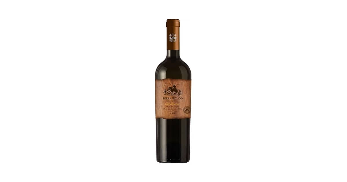 Melhor Vinho Tinto Seco Chileno: Guia de Degustação