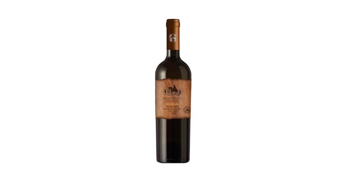 Melhor Vinho Tinto Seco: Guia de Uvas e Sabores