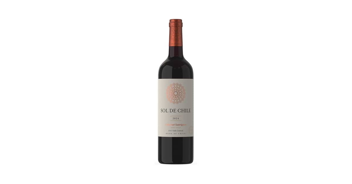 Melhor Vinho Tinto Suave Chileno: Guia para Sua Prova