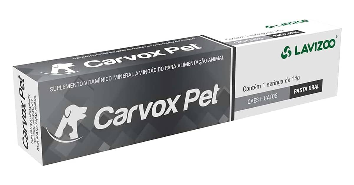 Melhor Vitamina para Cachorro de Caça: Energia e Saúde!