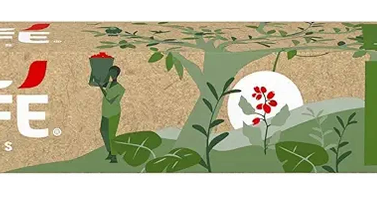 Melhores Cápsulas Compatíveis com Nespresso: Sabores Intensos!