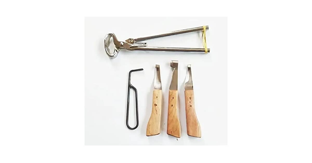 Melhores Casqueamentos: Guia Essencial Para Ferradores