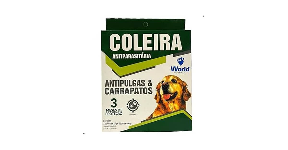 Melhor coleira antipulga: 10 modelos de longa duração