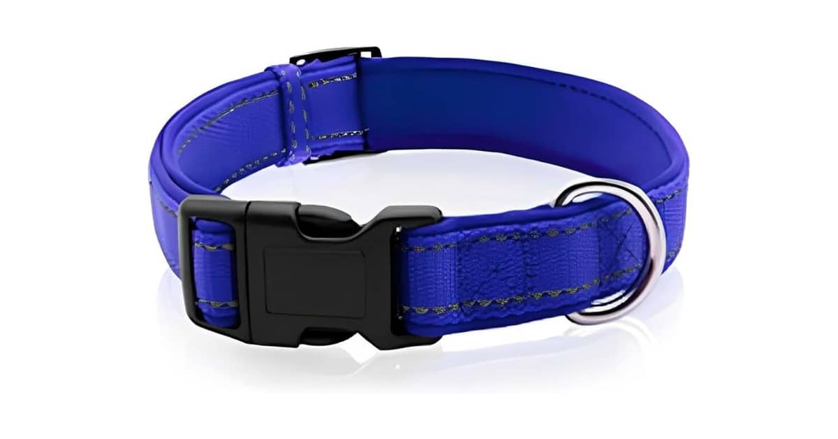 Qual a Melhor Coleira Cobasi: 10 Modelos Eficazes